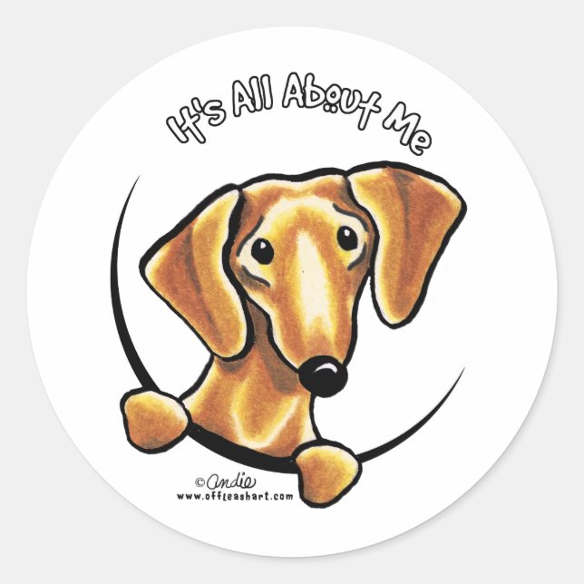 Sticker Rond Dachshund Rouge Doux Tout Sur Moi (Devant)