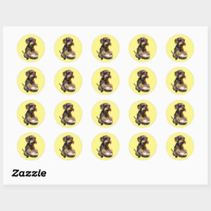Sticker Rond Dachshund Wirehair Jouer des tambours