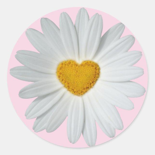 Sticker Rond Daisy Heart (Devant)