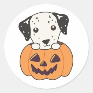 Sticker Rond Dalmatien En Chiens Doux Citrouille Joyeux Hallowe