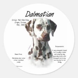 Sticker Rond Dalmatien (foie) Conception de l'histoire