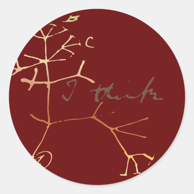 Sticker Rond Darwin arbre de vie : Je pense (Devant)