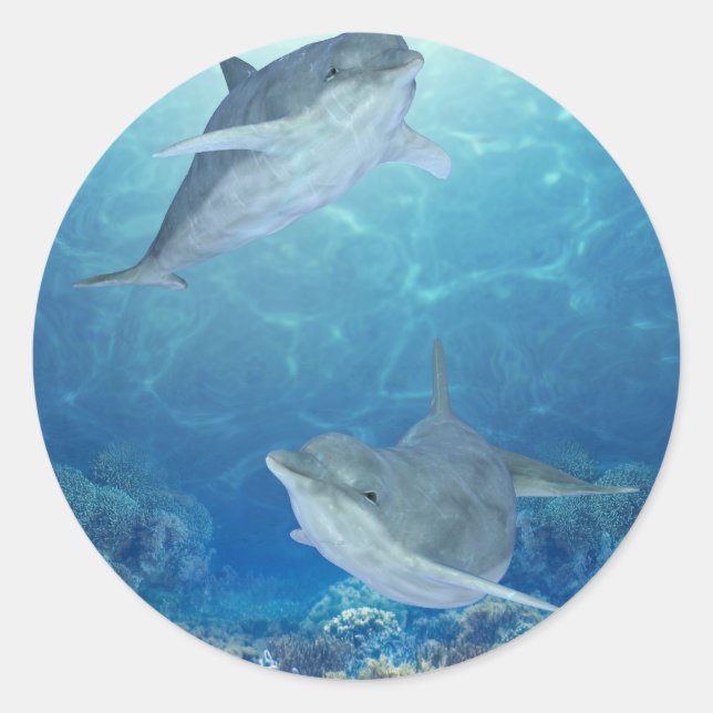 Sticker Rond dauphins heureux (Devant)