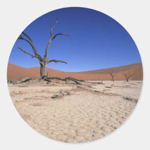 Sticker Rond Dead Vlei, Sossusvlei, Parc national de Namib-Nauk