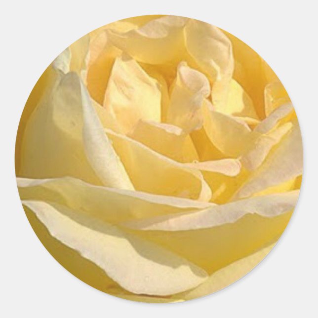 Sticker Rond Délicat Rose jaune (Devant)