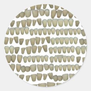 STICKER ROND DENTISTE DENTISTES ORTHODONTIQUES BOUCHE DE DENTS 