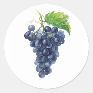 Sticker Rond Des raisins. Aquarelle.