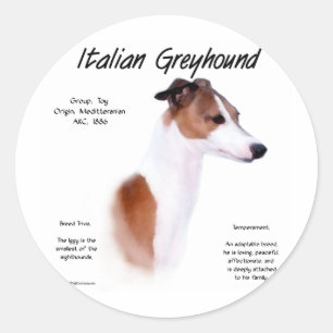 Sticker Rond Design d'histoire Greyhound italien