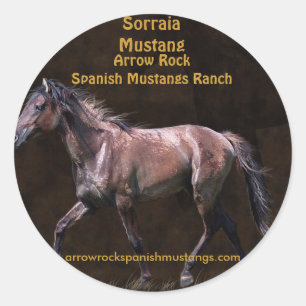 Sticker Rond Design équin amateur de chevaux
