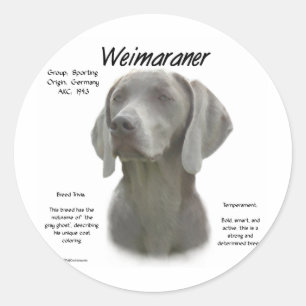 Sticker Rond Design historique Weimaraner
