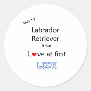 Sticker Rond Design Lick Retriever Labrador