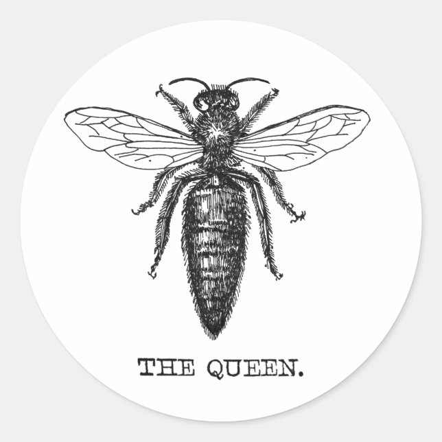Sticker Rond Dessin classique de l'illustration de Queen Bee (Devant)
