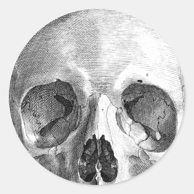 Sticker Rond Dessin d'anatomie du crâne humain (Devant)