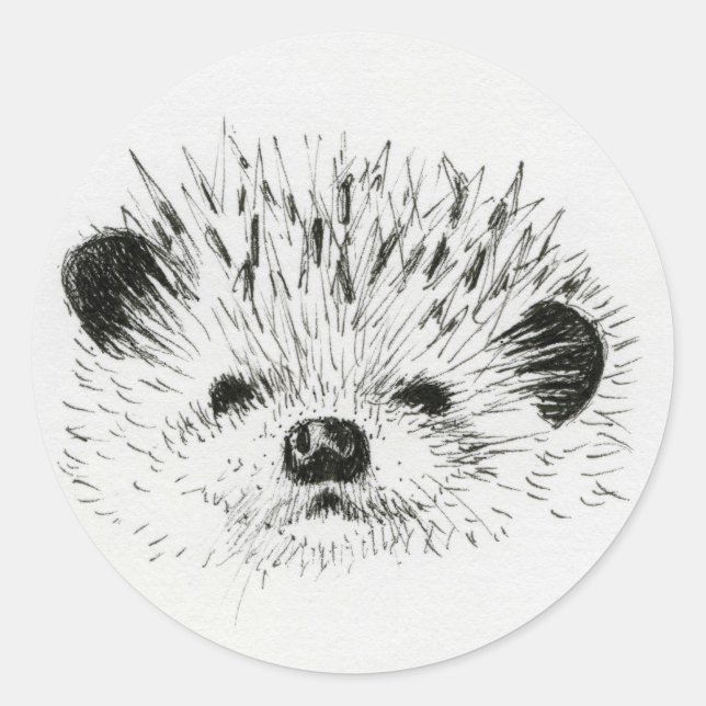 Sticker Rond Dessin de hérisson mignon (Devant)