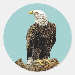 Sticker Rond Dessin de l'aigle à balles