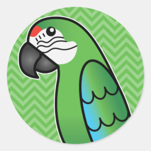 Sticker Rond Dessin militaire Macaw Parrot Bird