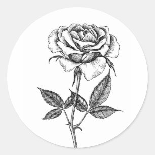 Sticker Rond dessin rose