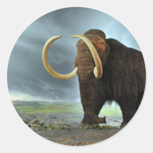 Sticker Rond Destin de mammoth laine