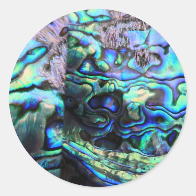 Sticker Rond Détails de la coquille d'Abalone paua (Devant)
