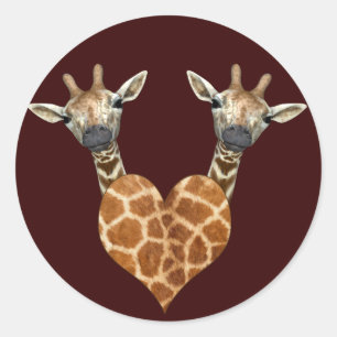 Sticker Rond Deux belles girafes