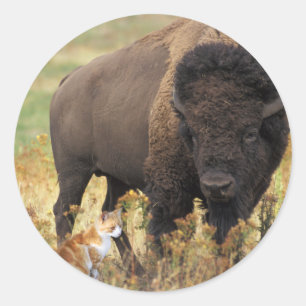 Sticker Rond Deux d'une sorte