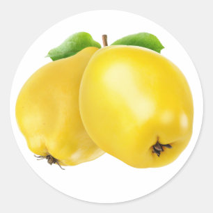 Sticker Rond Deux fruits de coing