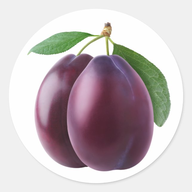 Sticker Rond Deux prunes pourpres (Devant)