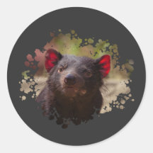 diable de Tasmanie