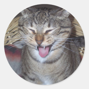 Sticker Rond Diablo Kitty