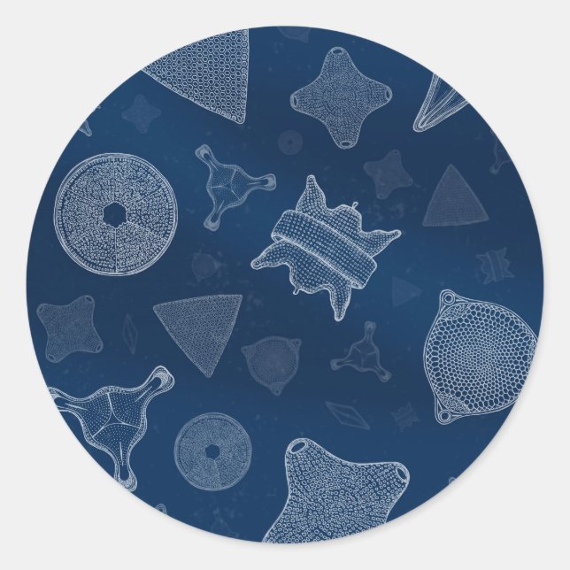 Sticker Rond Diatomées - microscopique vie marine (Devant)