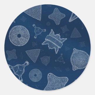 Sticker Rond Diatomées - microscopique vie marine
