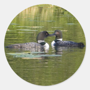 Sticker Rond Dingues