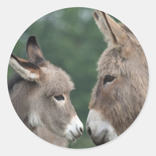 Sticker Rond Dinky âne (Devant)