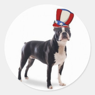 Sticker Rond Ditzy Dogs~Sticker original~Boston Terrier