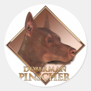 Sticker Rond Doberman Pinscher