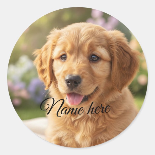 Sticker Rond Dog cat pet name photo template simple minimal  (Devant)