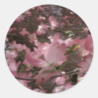 Sticker Rond Dogwood