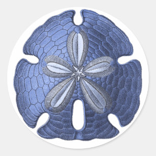 Sticker Rond Dollar de sable bleu