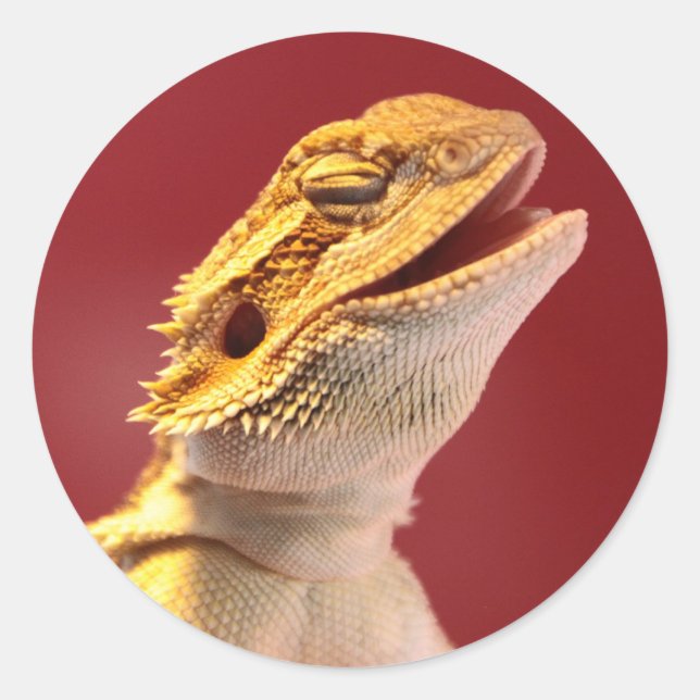 Sticker Rond Dragon à coeur de rire (Devant)
