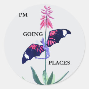 Sticker Rond Dragon et cactus