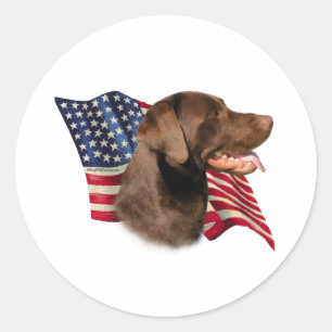 Sticker Rond Drapeau américain de récupération de chocolat Labr