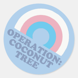 Sticker Rond Drapeau de la Fierté trans de l'arbre à noix de co