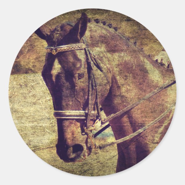 Sticker Rond Dressage (Devant)