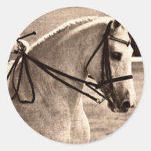 Dressage Grunge