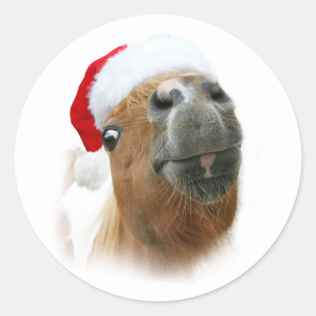 Sticker Rond Drôle cheval de Noël (Devant)