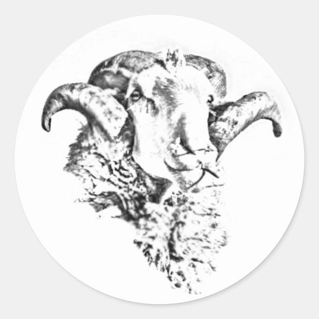 Sticker Rond Drôle mignon mouton crête ram croquis (Devant)