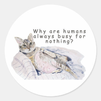 Sticker Rond Drôle Peinture de chat - "Pourquoi les humains son