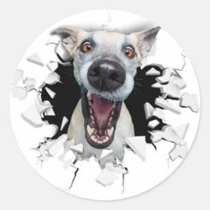 Sticker Rond Drôle visage chien