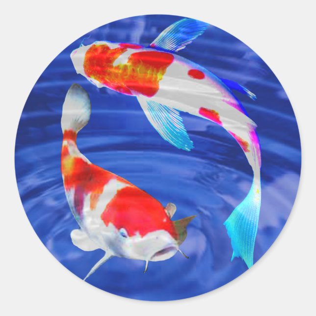 Sticker Rond Duo de Kohaku dans l'étang bleu profond (Devant)