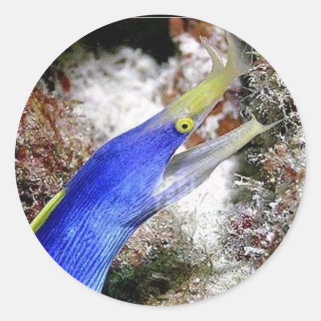 Sticker Rond Eau de ruban (Devant)